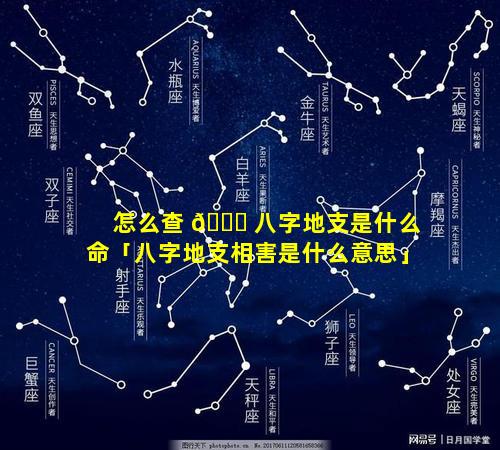 怎么查 🐋 八字地支是什么命「八字地支相害是什么意思」